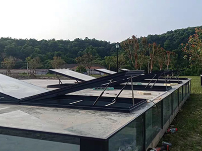 ����ʽ�綯������